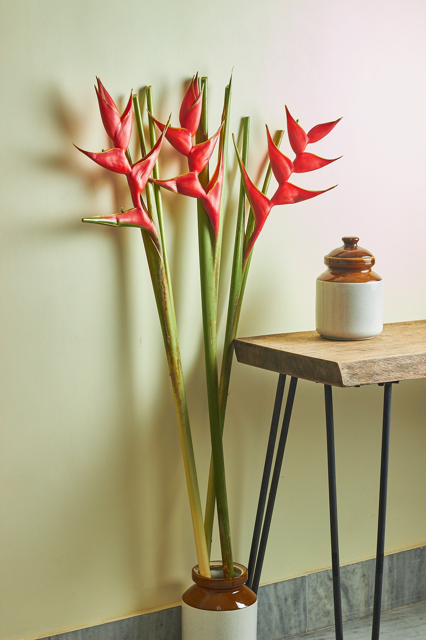 Heliconia - Mahua Floral Studio