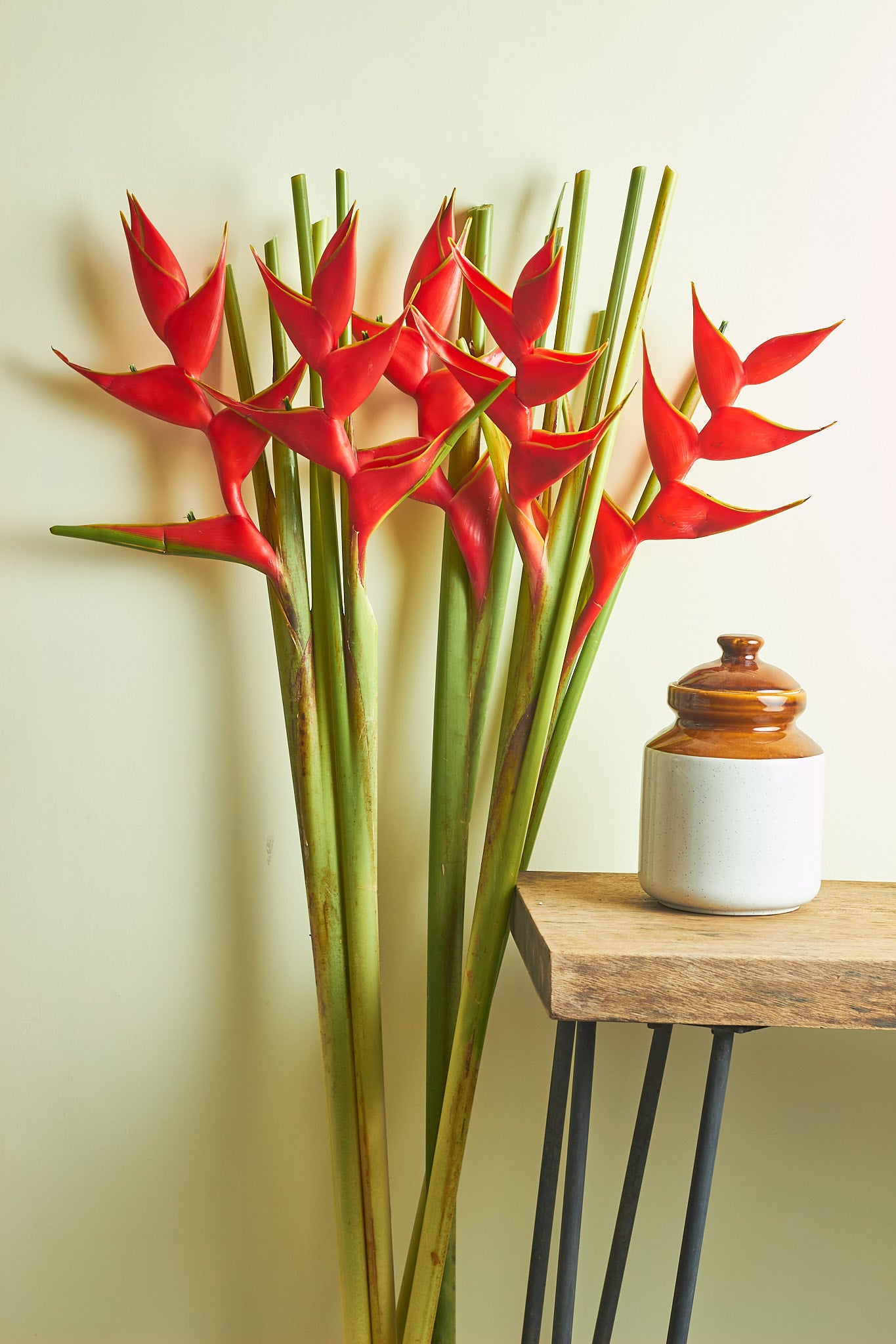 Heliconia - Mahua Floral Studio