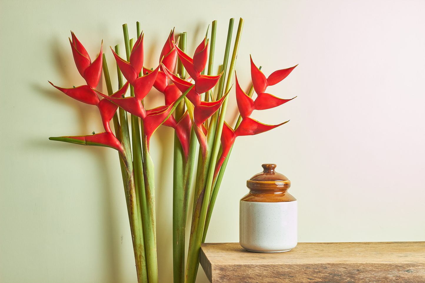 Heliconia - Mahua Floral Studio