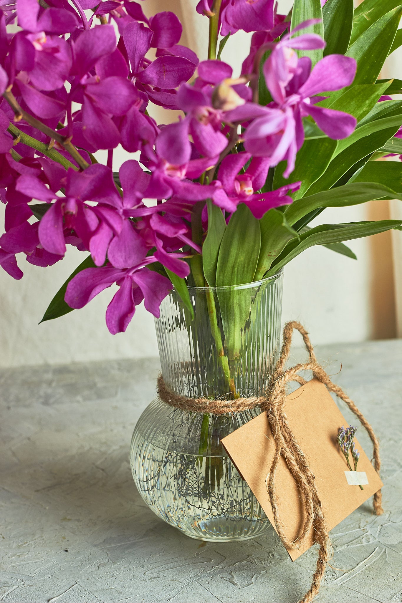 Orchids elegance - Mahua Floral Studio