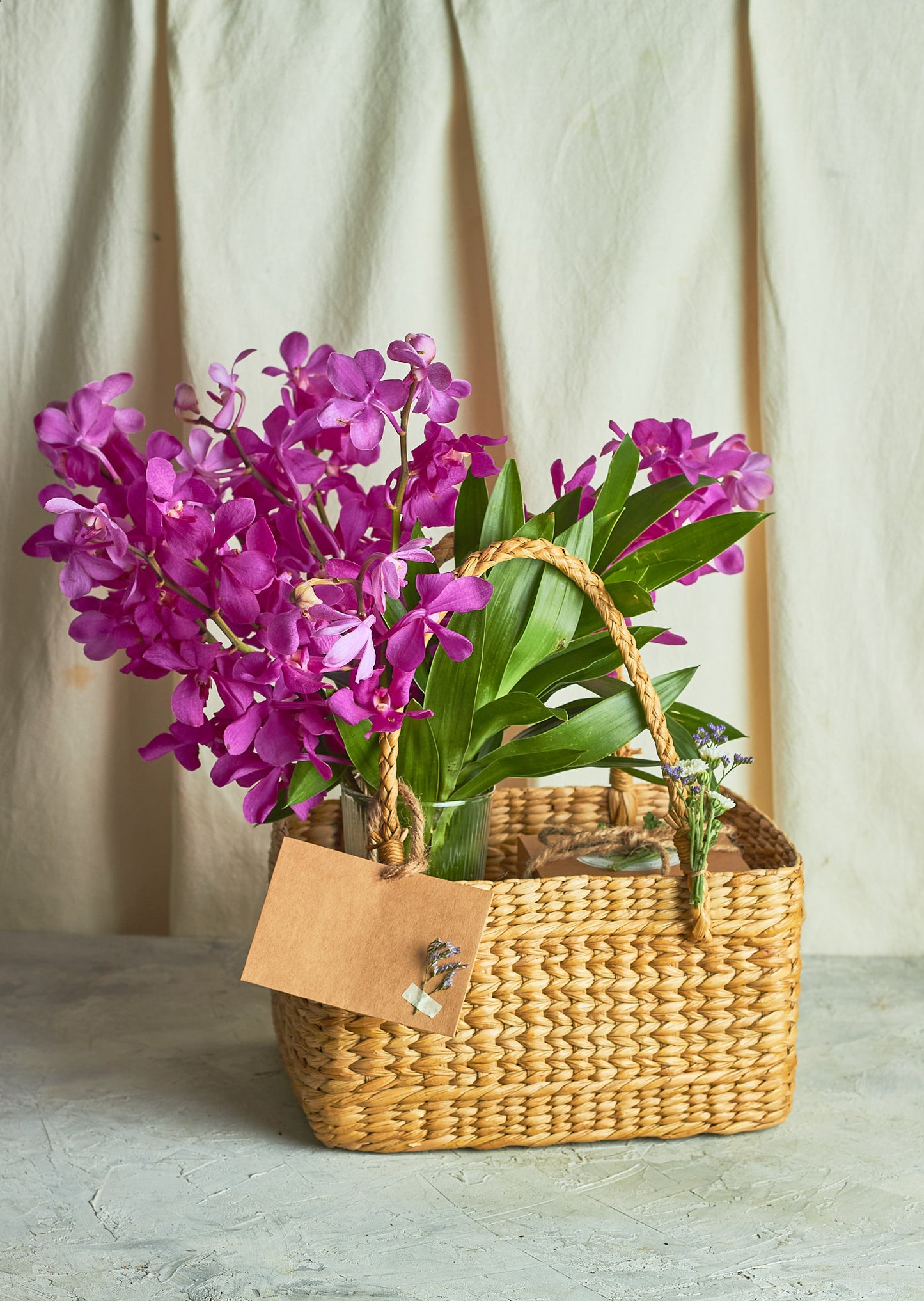 Orchids & chocolate hamper - Mahua Floral Studio