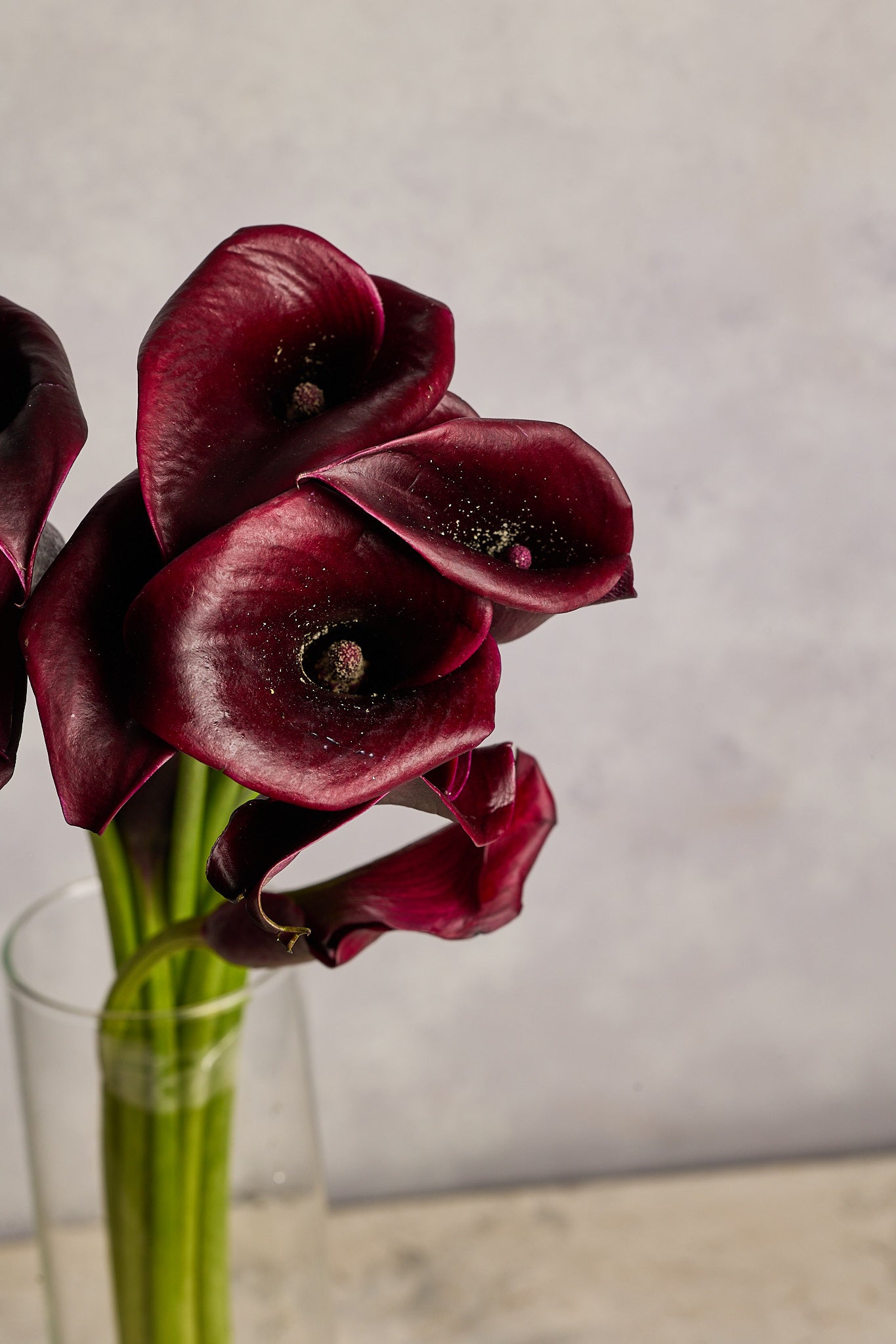 Calla Lillies - Deep Red - Mahua Floral Studio