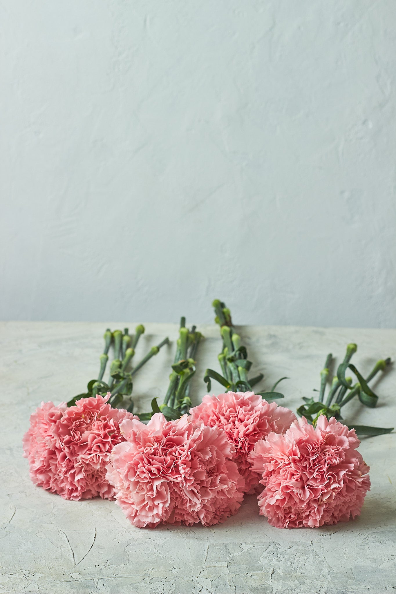 Buy Carnation bunches by Mahua Floral Studio.
