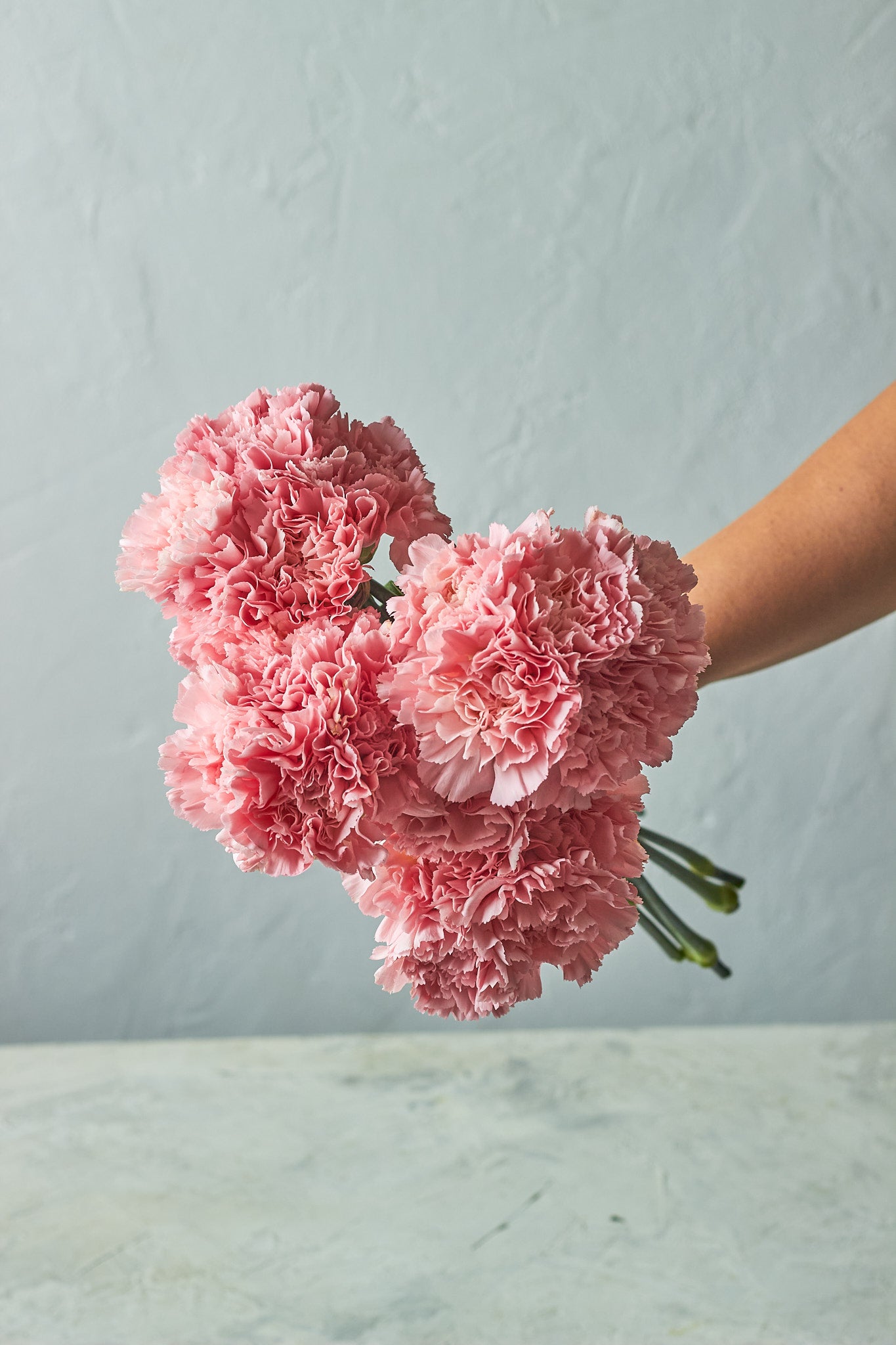 Buy Carnation bunches by Mahua Floral Studio.