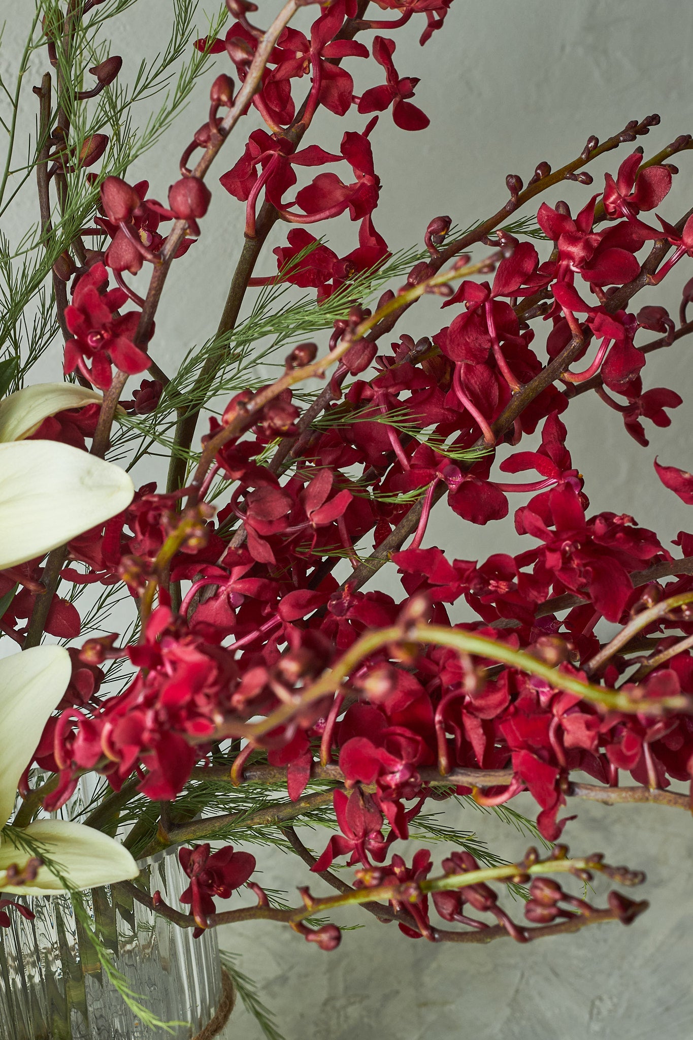 Buy Fire n Ice by Mahua Floral Studio.