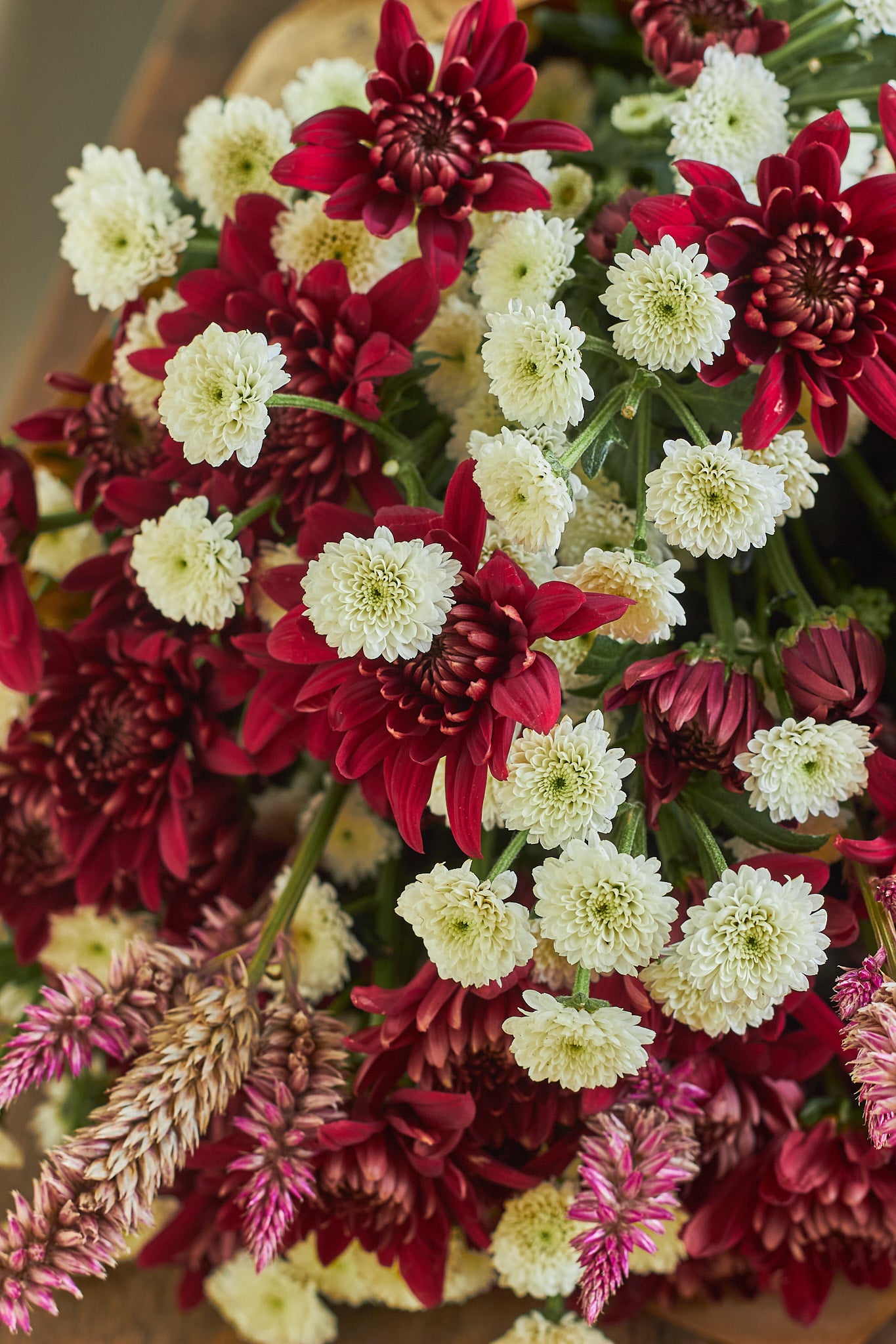 Firecracker - Mahua Floral Studio