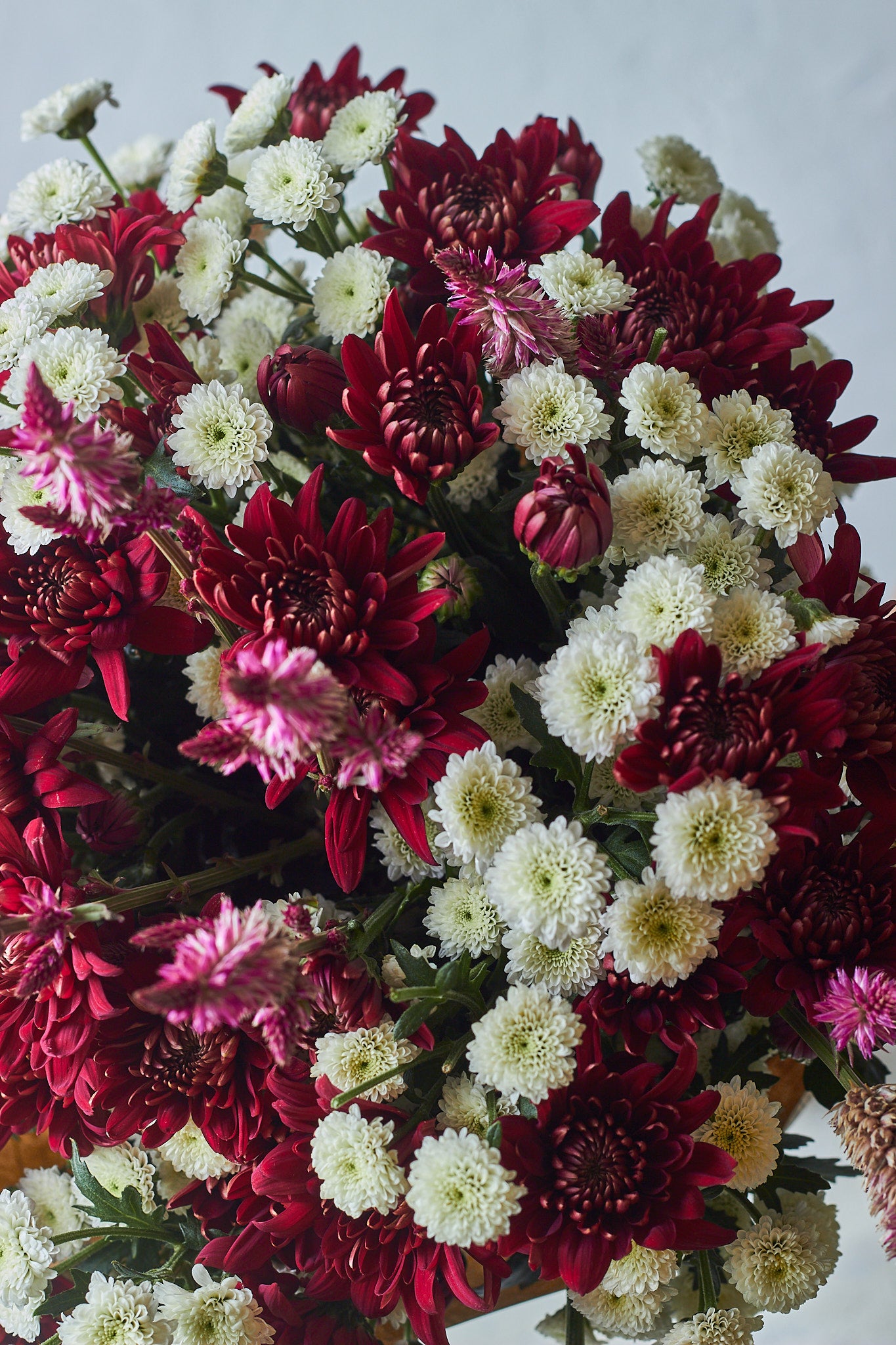 Firecracker - Mahua Floral Studio