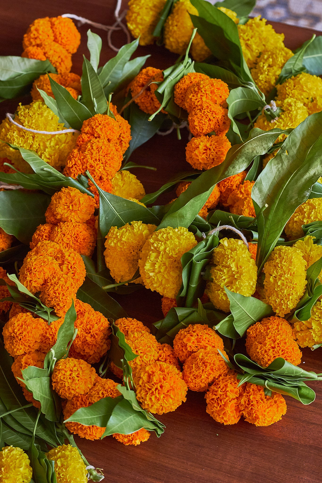 Orange Ambapala Toran - Mahua Floral Studio