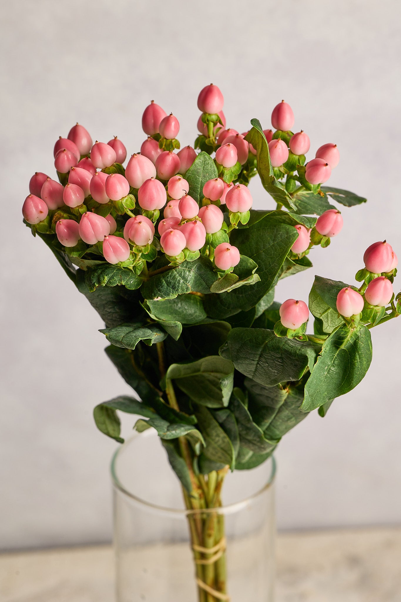 Hypericum Pink Berries - Mahua Floral Studio