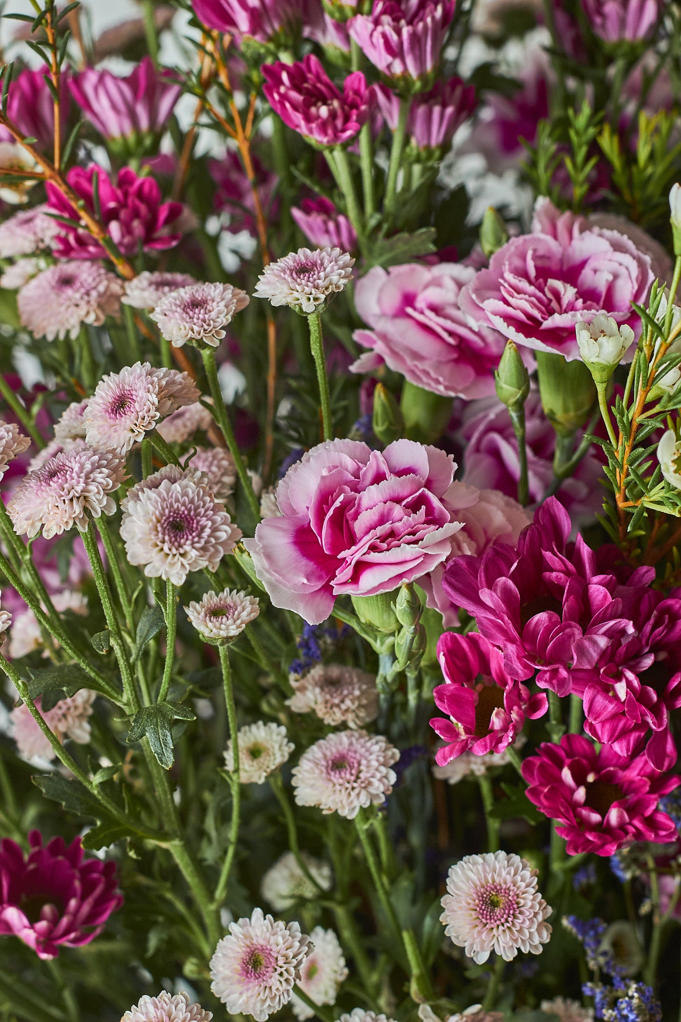 Love n' Violet - Mahua Floral Studio