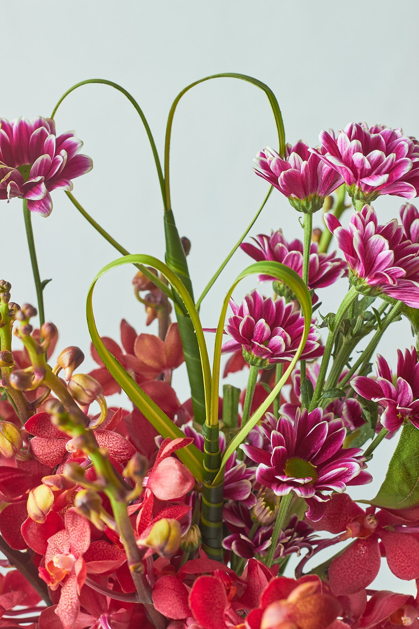Darling - Mahua Floral Studio