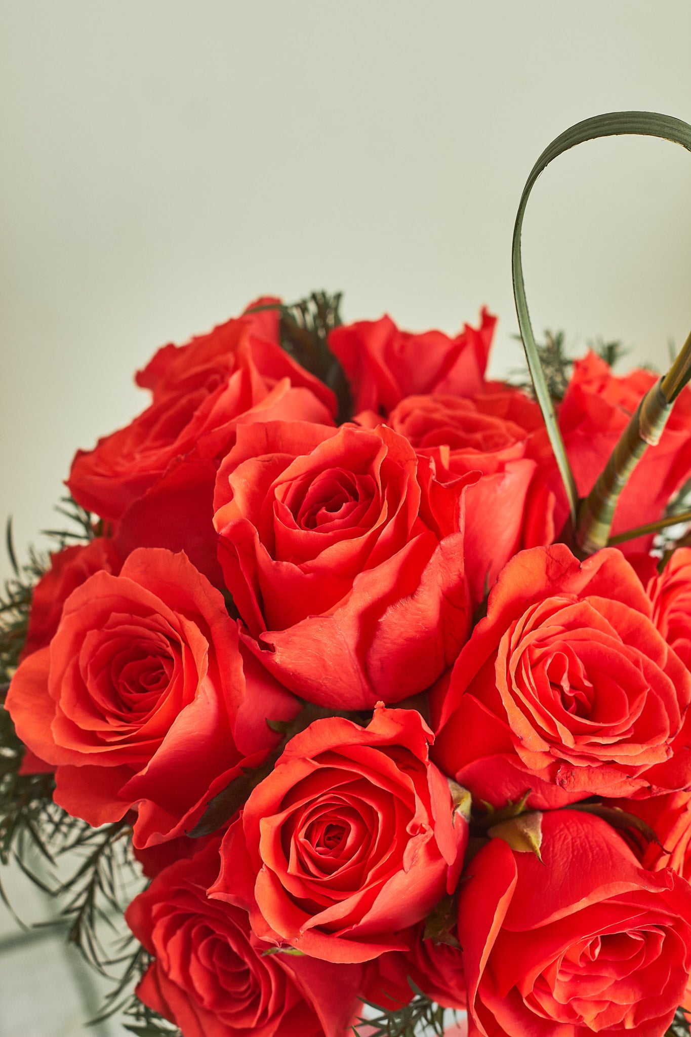 Romantic dreams - Mahua Floral Studio