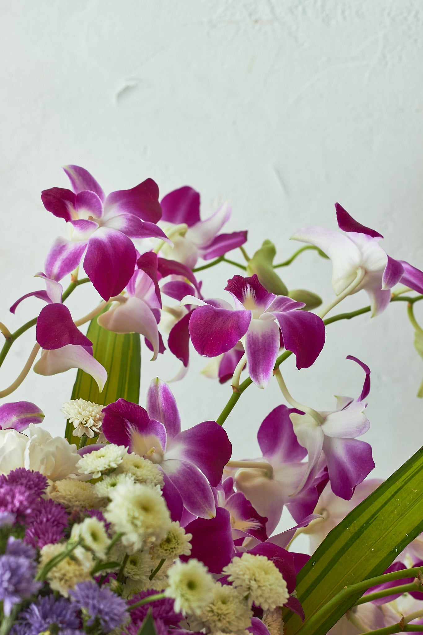 Orchids Galore - Mahua Floral Studio