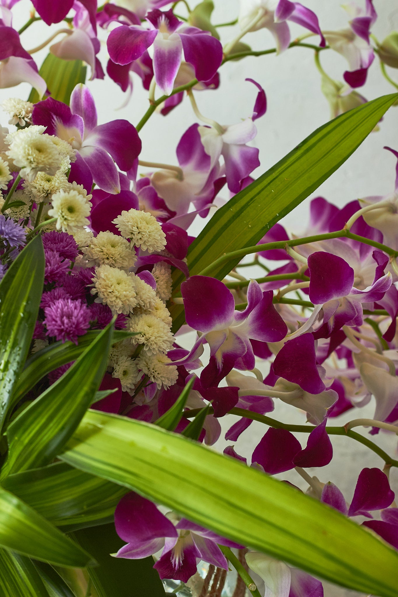 Orchids Galore - Mahua Floral Studio