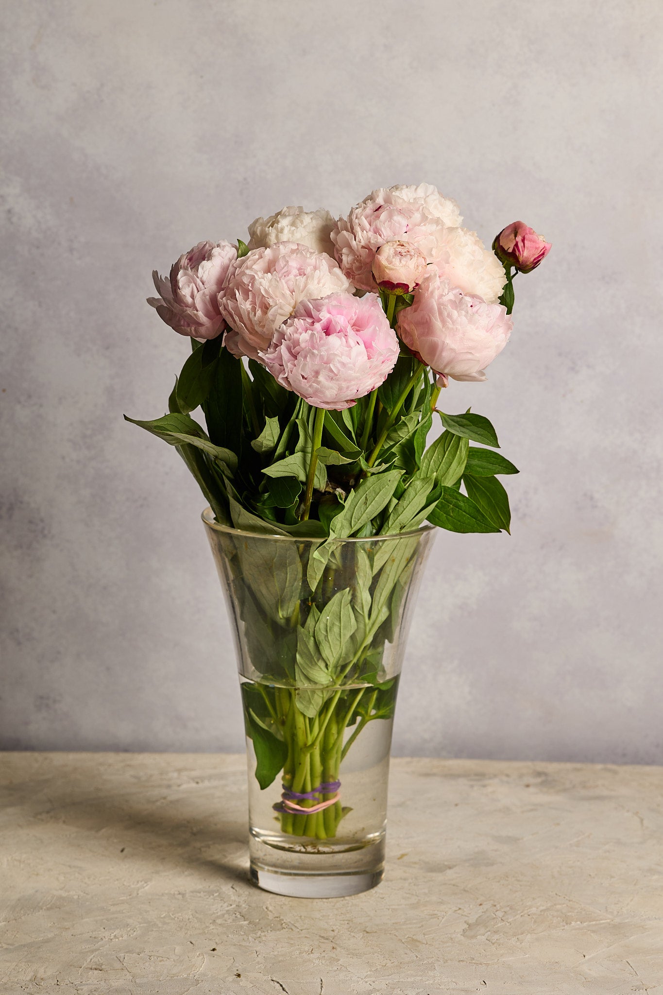 Peonies - Mahua Floral Studio