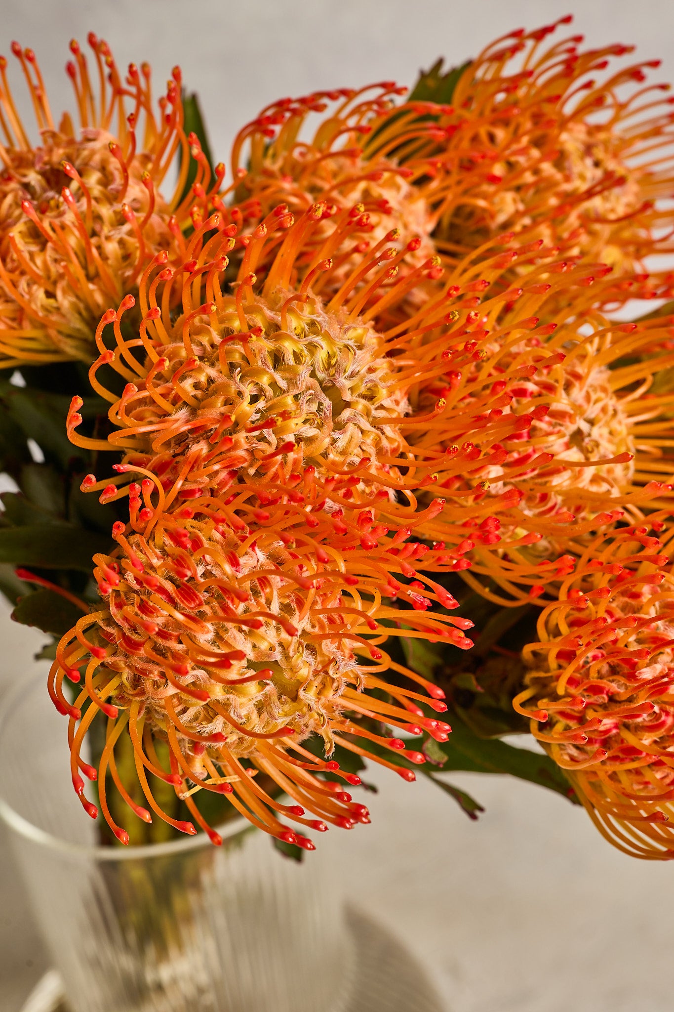 Pin Cushion - Orange - Mahua Floral Studio