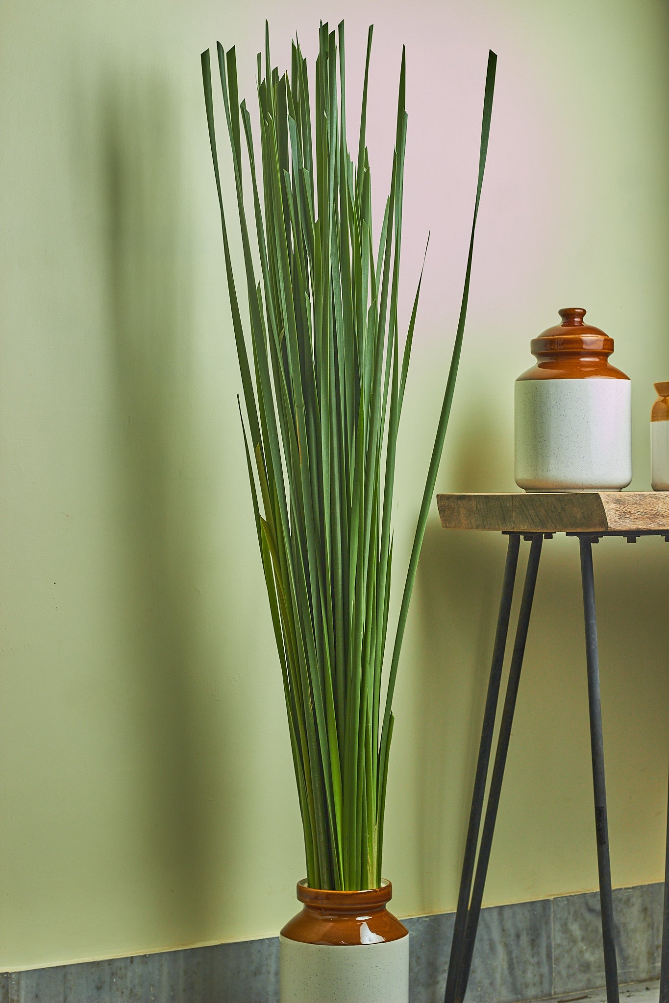 Ramban - Mahua Floral Studio