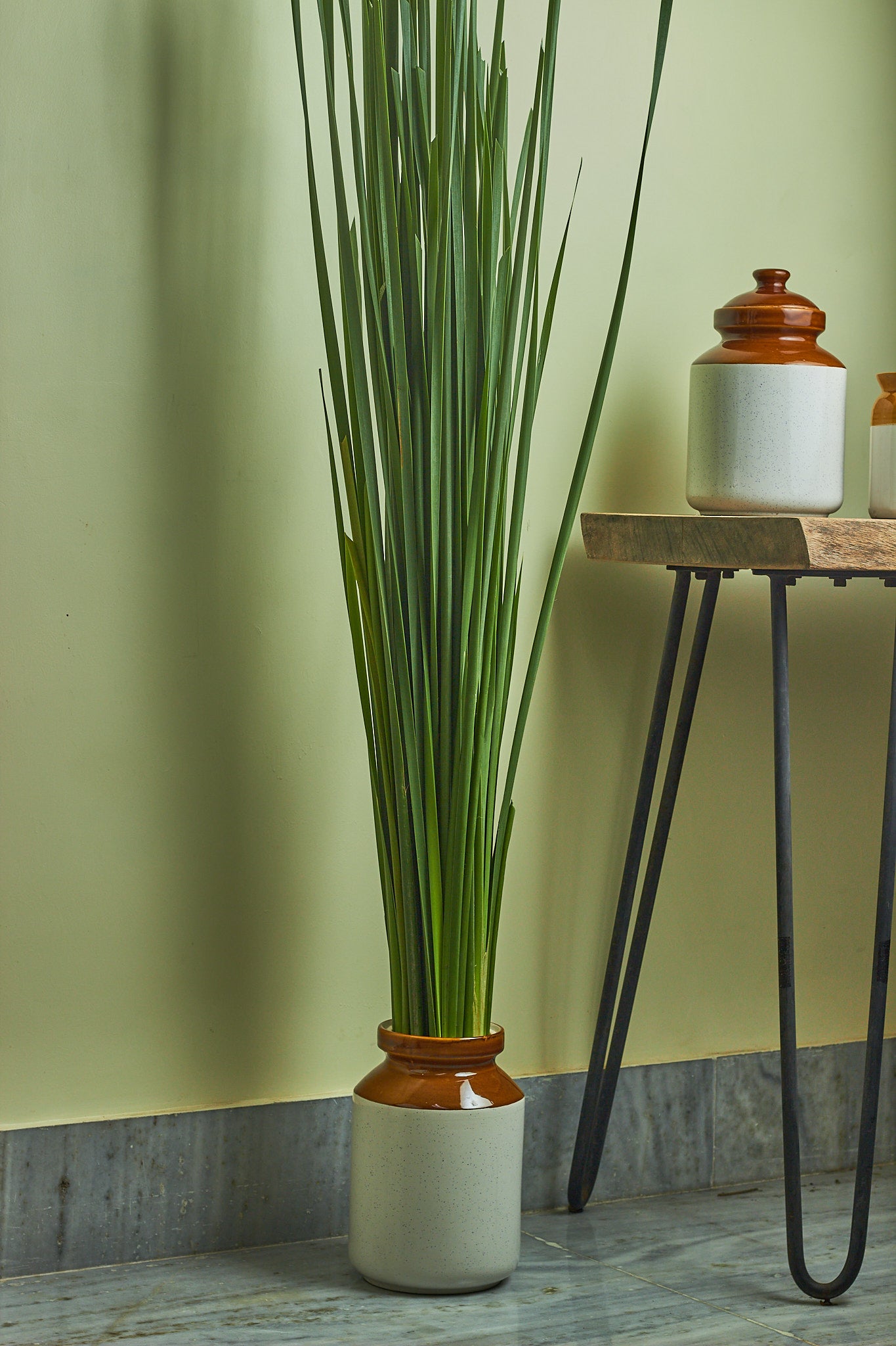 Ramban - Mahua Floral Studio