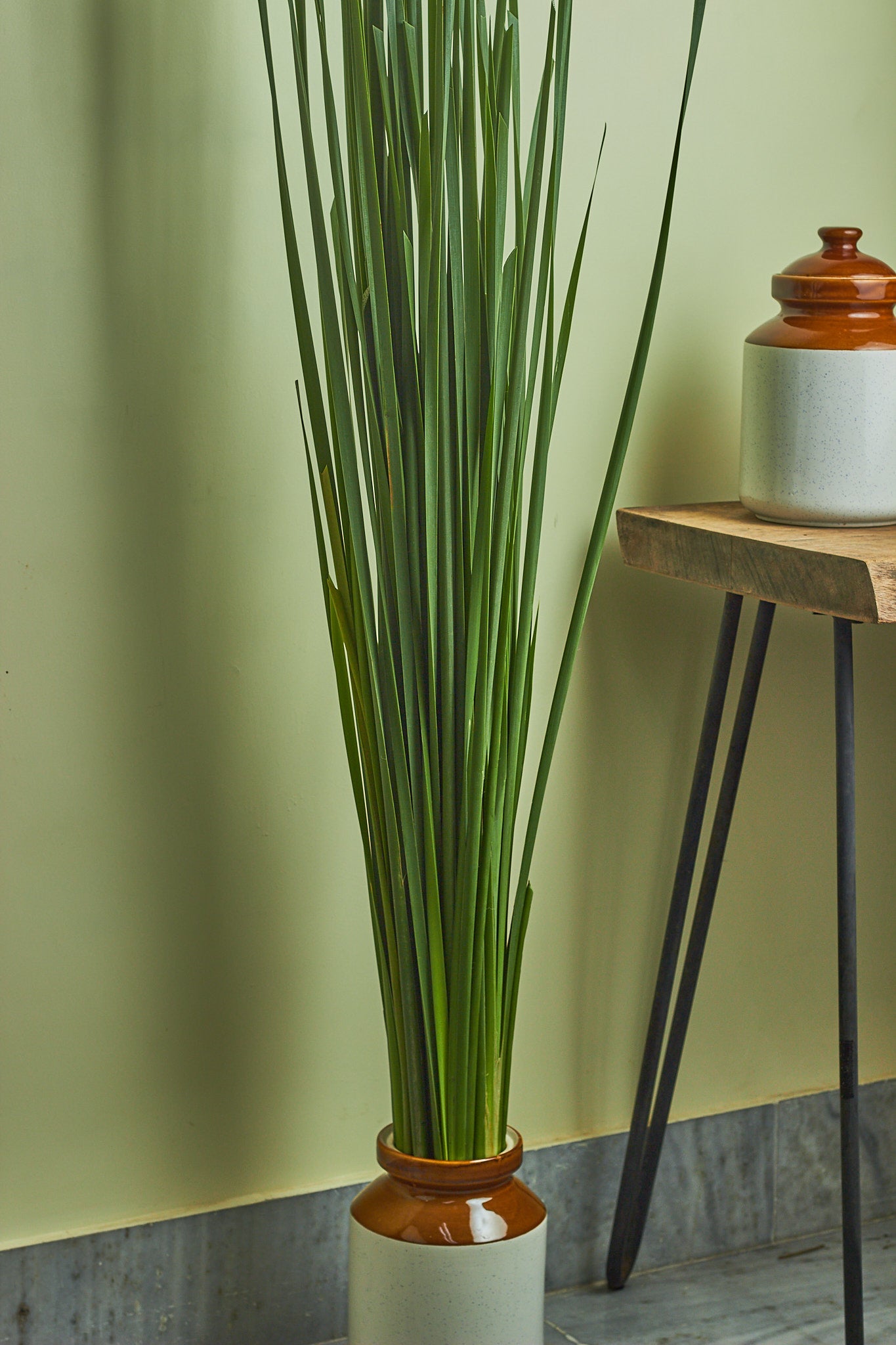 Ramban - Mahua Floral Studio