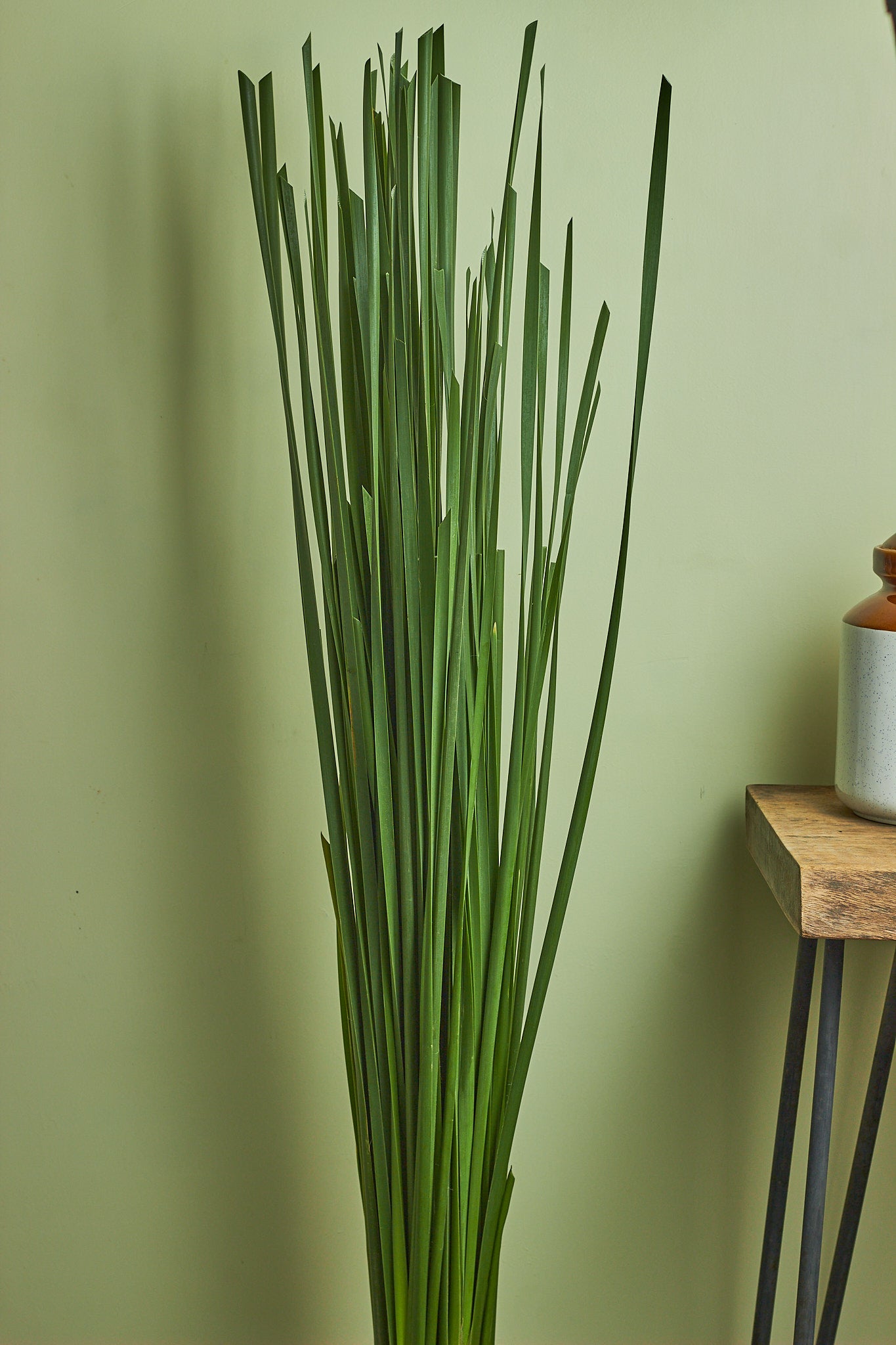 Ramban - Mahua Floral Studio