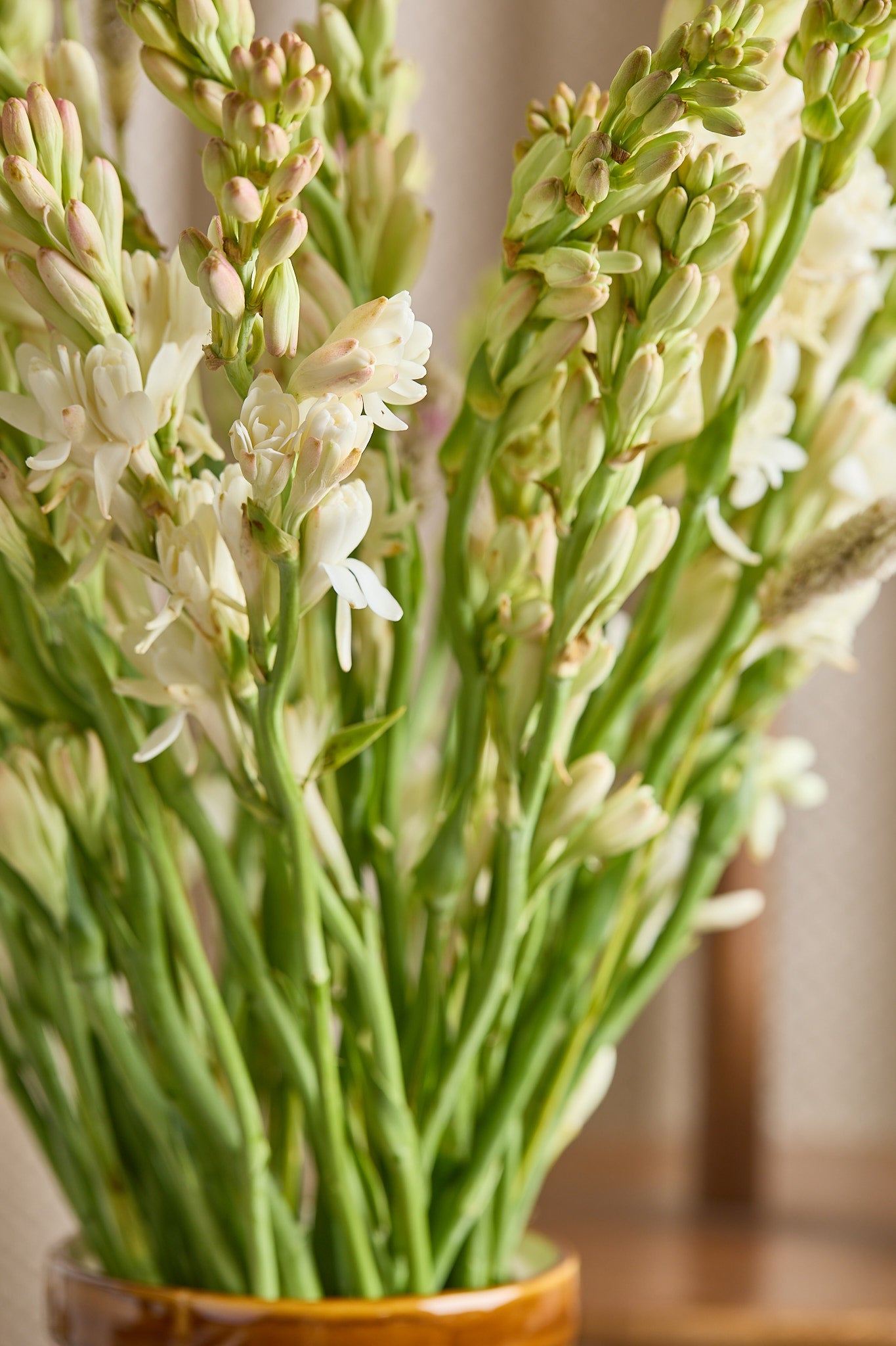 Rajnigandhas (Tuberose) - Mahua Floral Studio