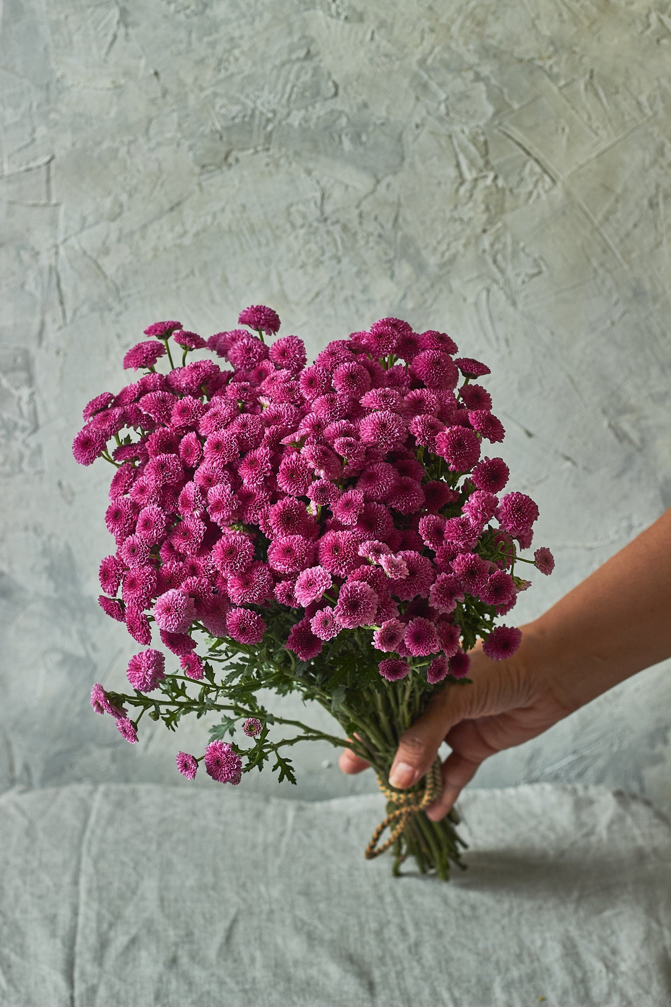 Button Chrysanthemums - Mahua Floral Studio