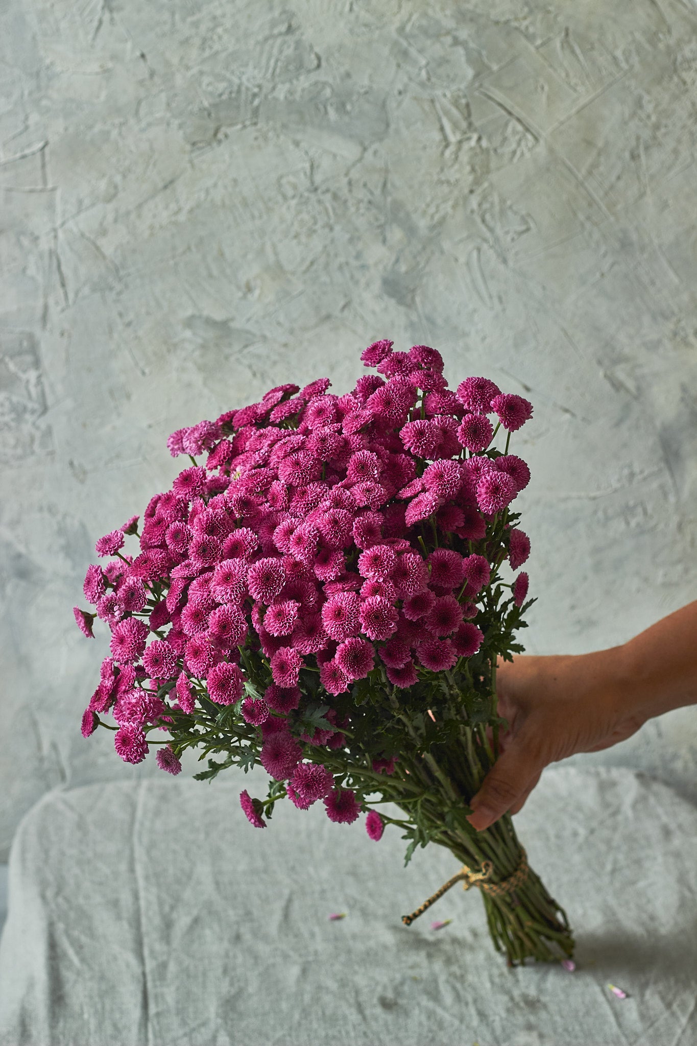 Button Chrysanthemums - Mahua Floral Studio