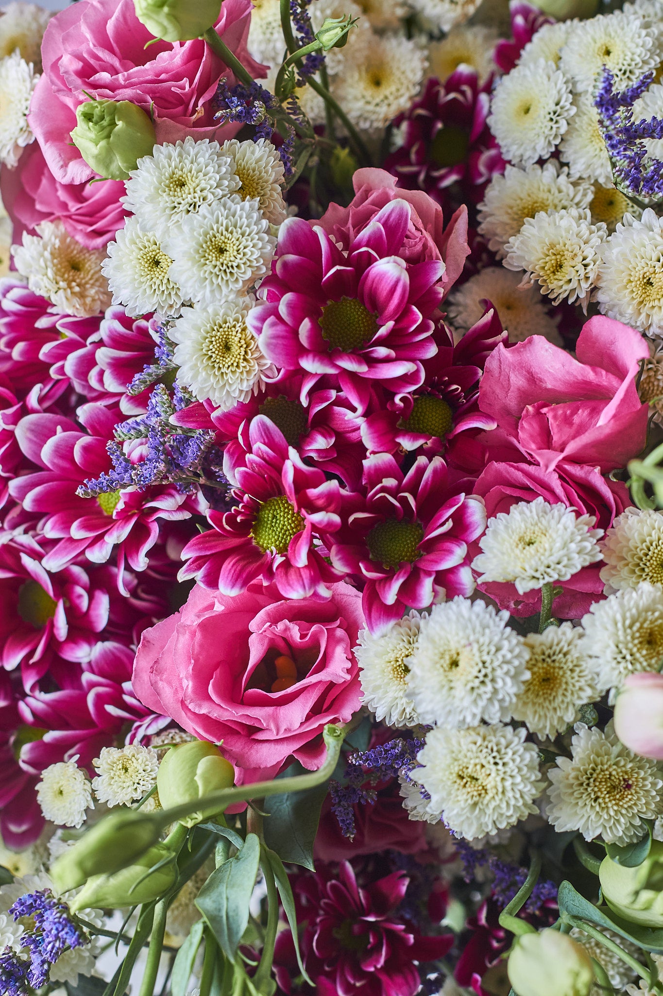 Buy Blushed Pink by Mahua Floral Studio.