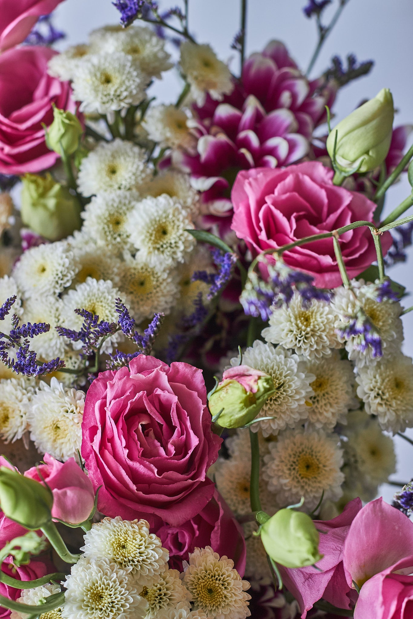 Buy Blushed Pink by Mahua Floral Studio.