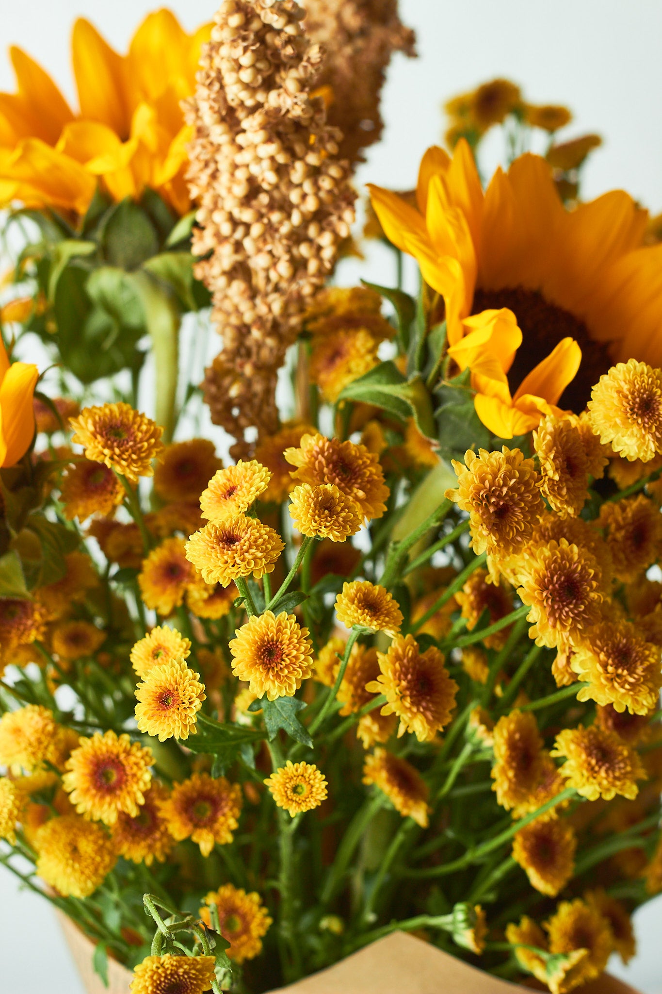 Buy Sunny day by Mahua Floral Studio.