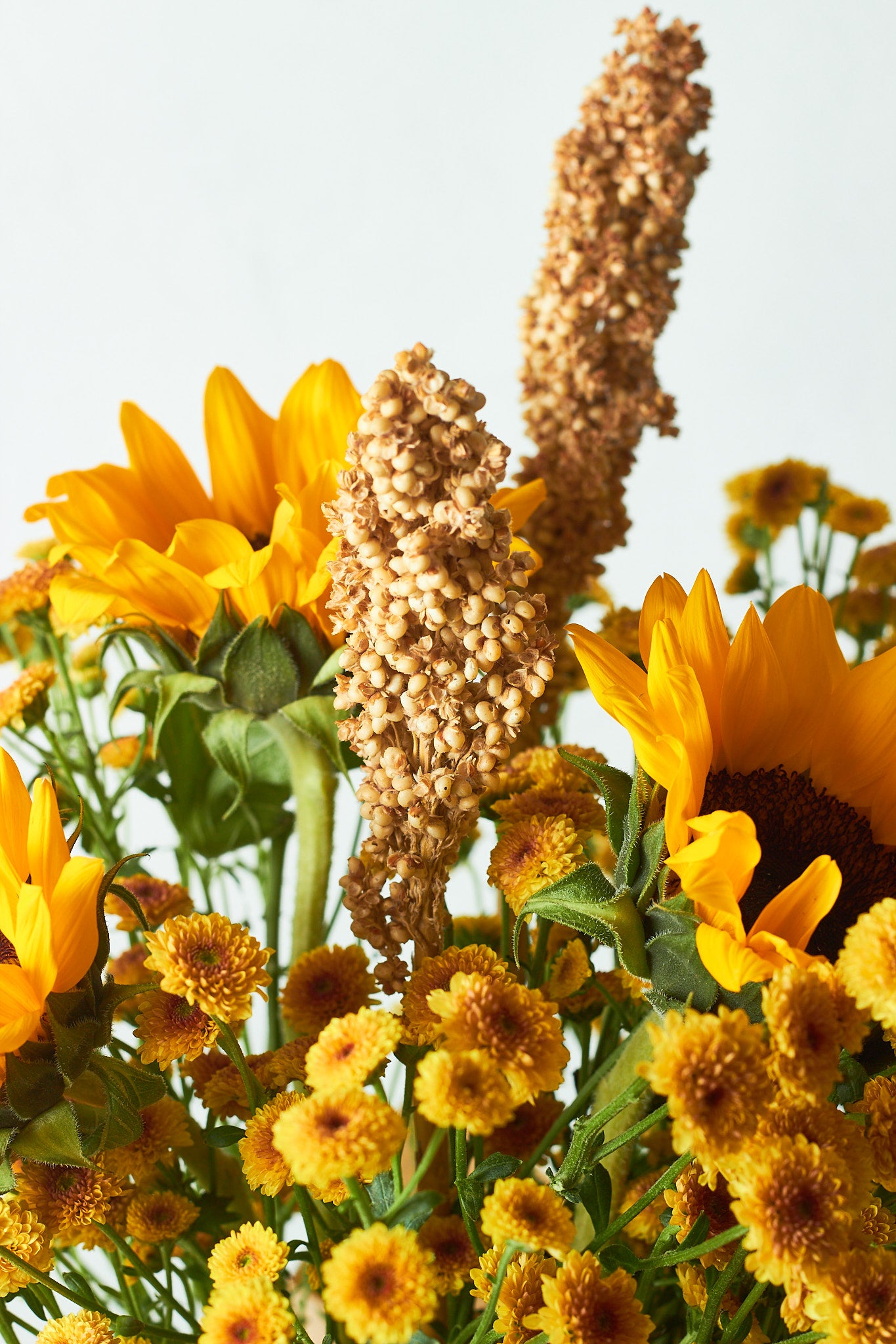 Buy Sunny day by Mahua Floral Studio.