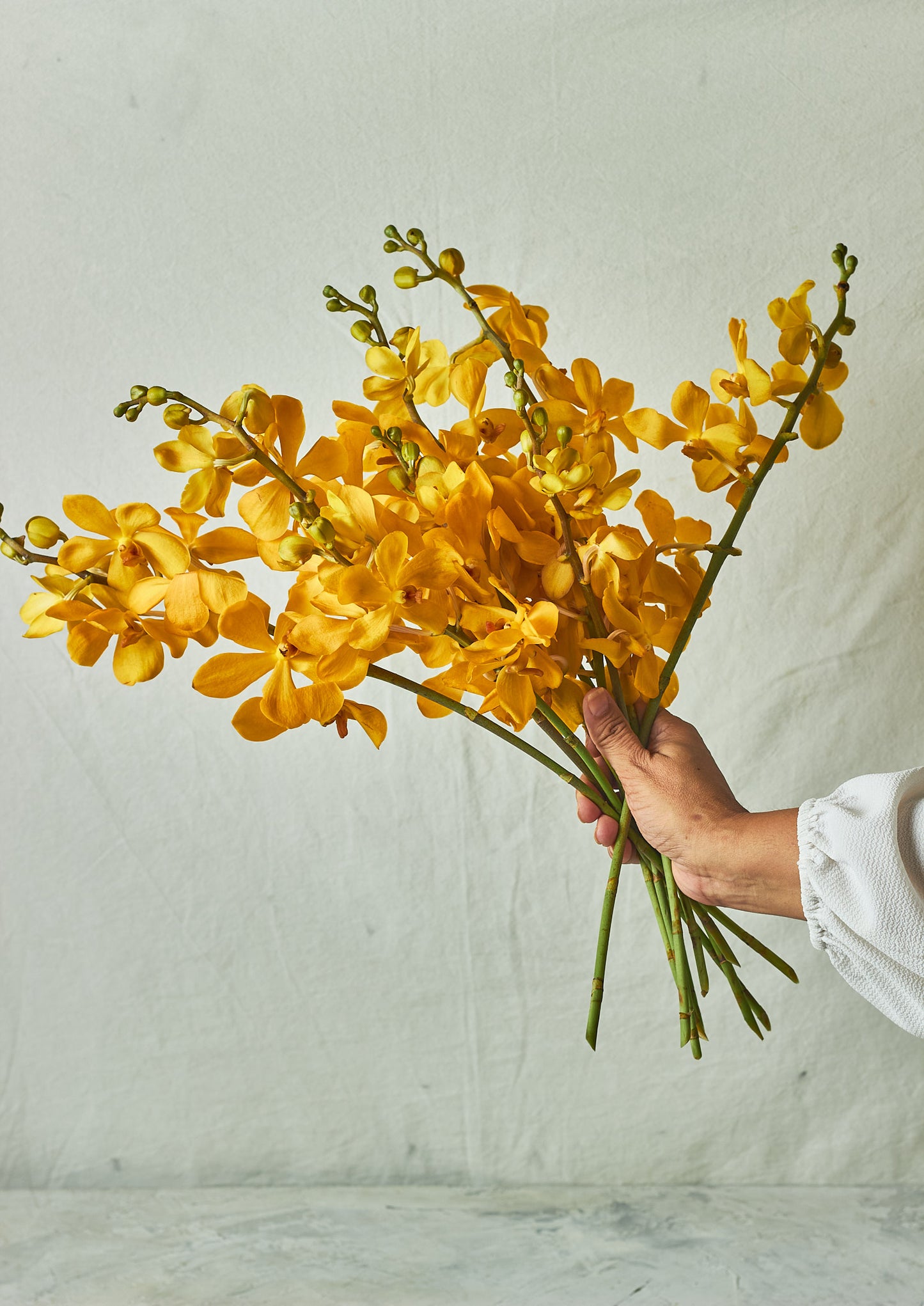 Yellow Orchids - Mahua Floral Studio