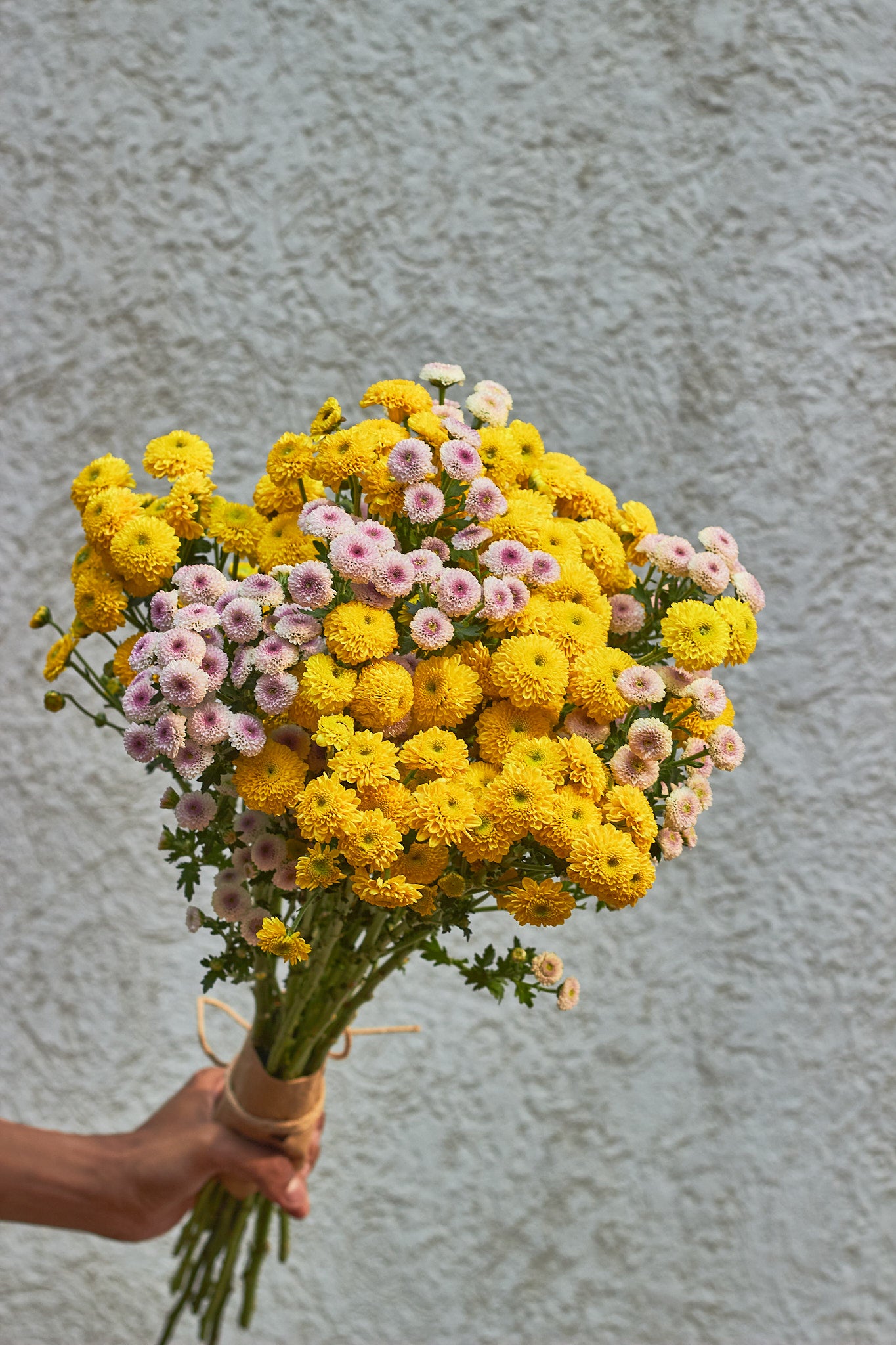 Yellow Pops - Mahua Floral Studio