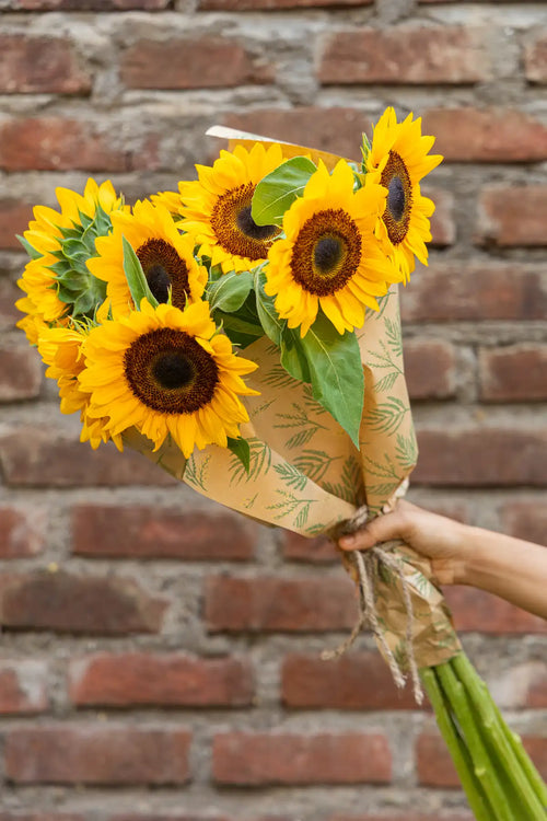 Sunflowers - Mahua Floral Studio