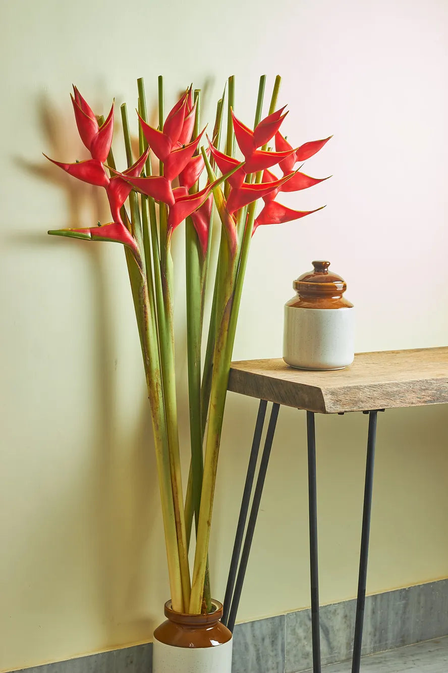 Red exotic looking flowers in a vase on a wooden table against a light wall.