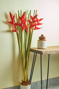 Red exotic looking flowers in a vase on a wooden table against a light wall.