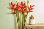 Red flowers in a vase on a wooden table with a white wall background