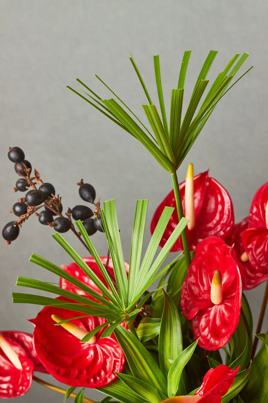 Red flowers and green leaves against a gray background