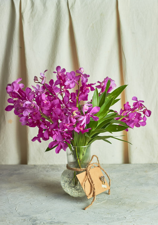 Orchids elegance - Mahua Floral Studio