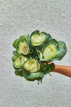 Bouquet of green flowers held against a textured gray background