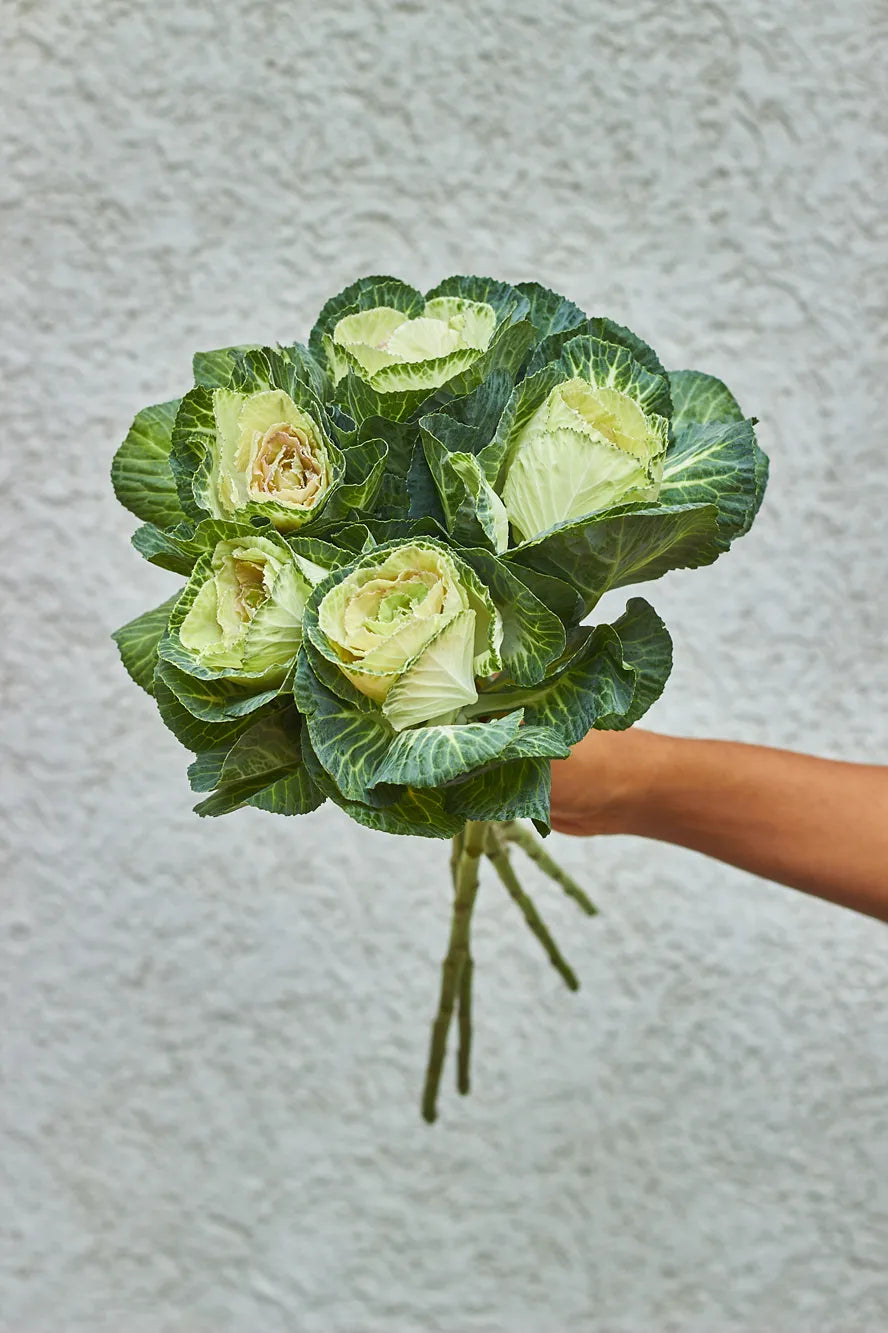 Bouquet of green cabbages held against a textured light gray background