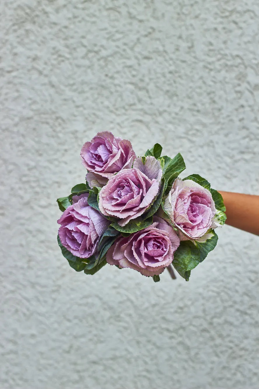 Bouquet of pink roses held against a light gray background
