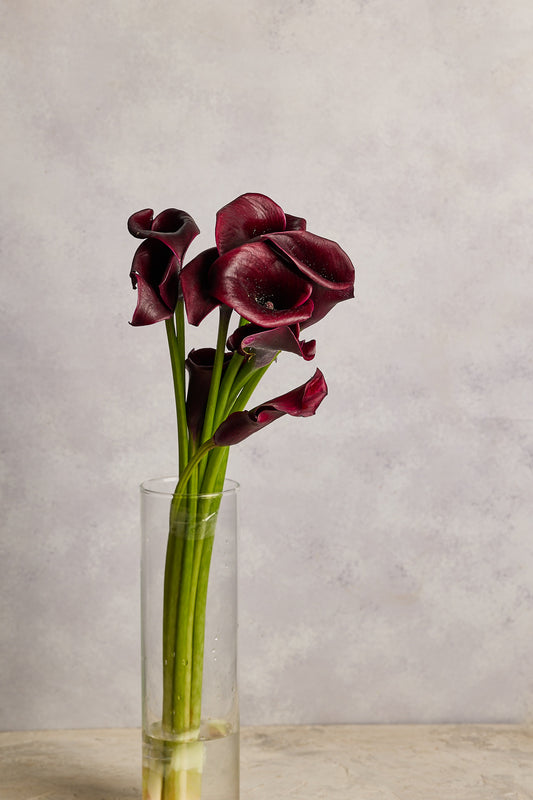 Calla Lillies - Deep Red - Mahua Floral Studio