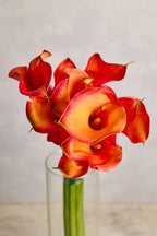 Bouquet of red and orange calla lilies in a clear vase against a neutral background