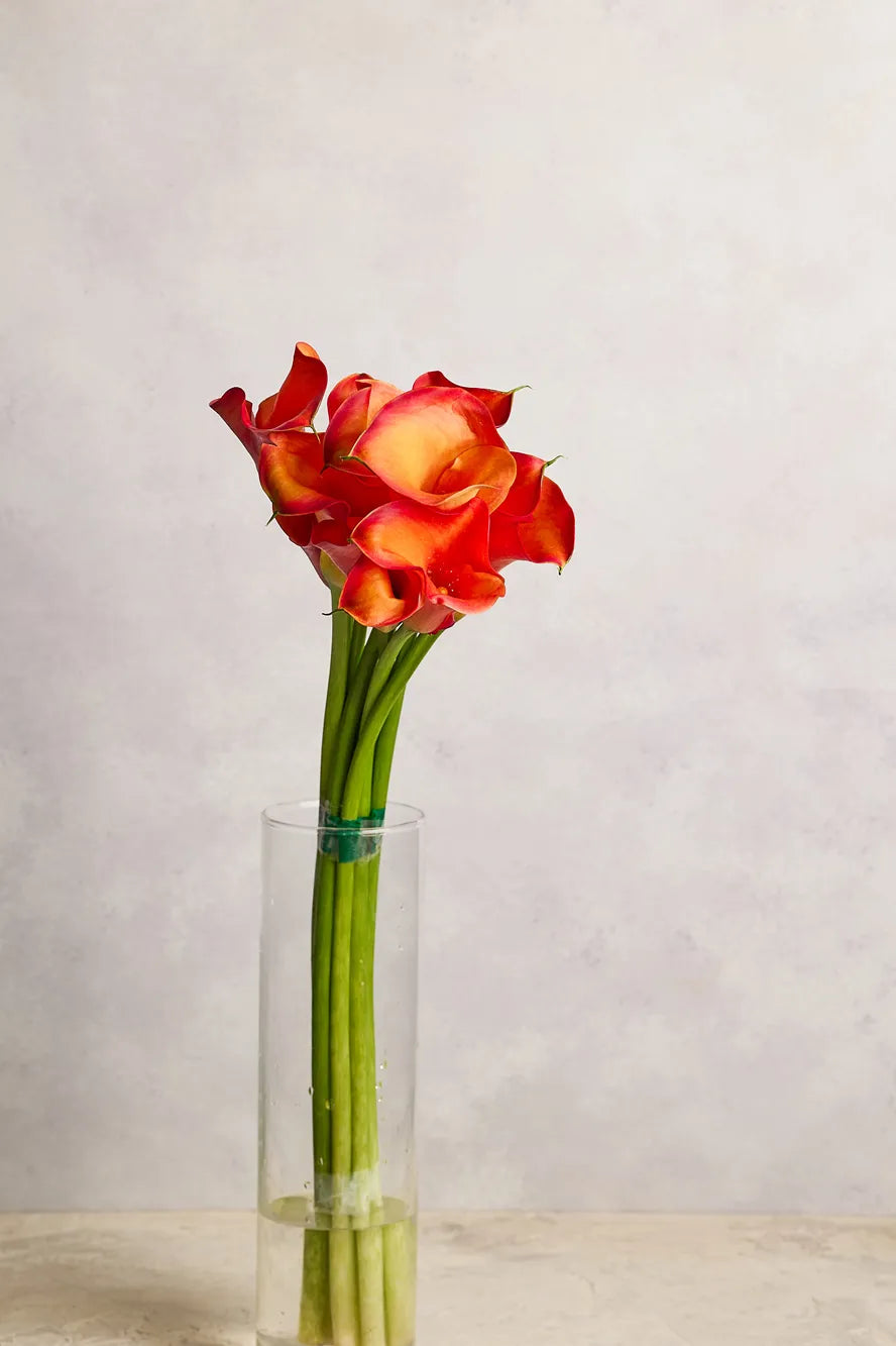 Bouquet of red and orange flowers in a clear vase on a light background