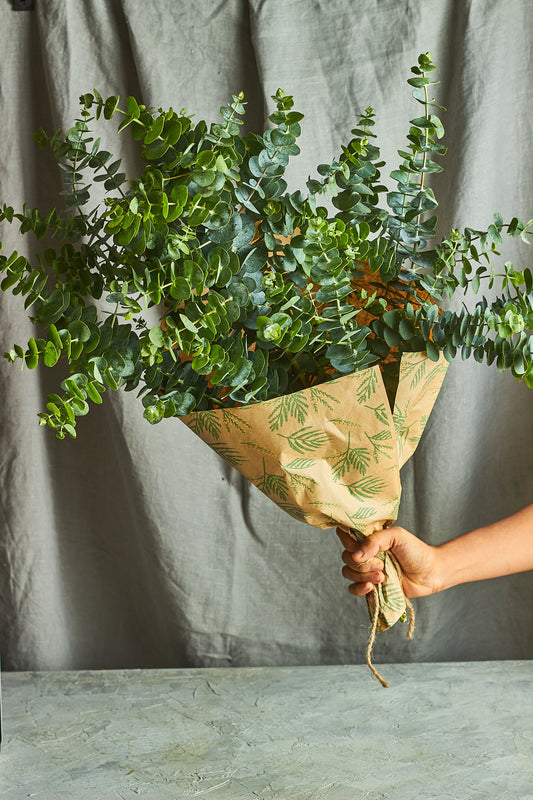 Bouquet of green eucalyptus wrapped in brown paper with leaf pattern against a gray background