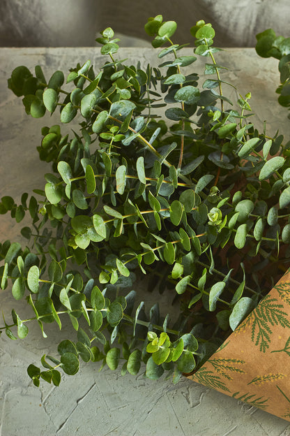 Green eucalyptus leaves on a textured surface