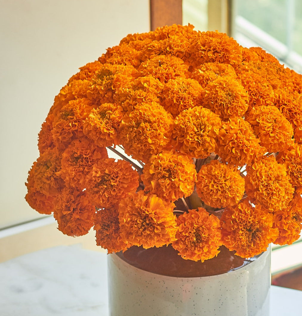 Festive Bloom - Mahua Floral Studio