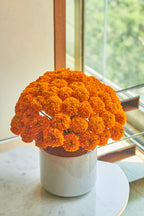 Festive Bloom - Mahua Floral Studio