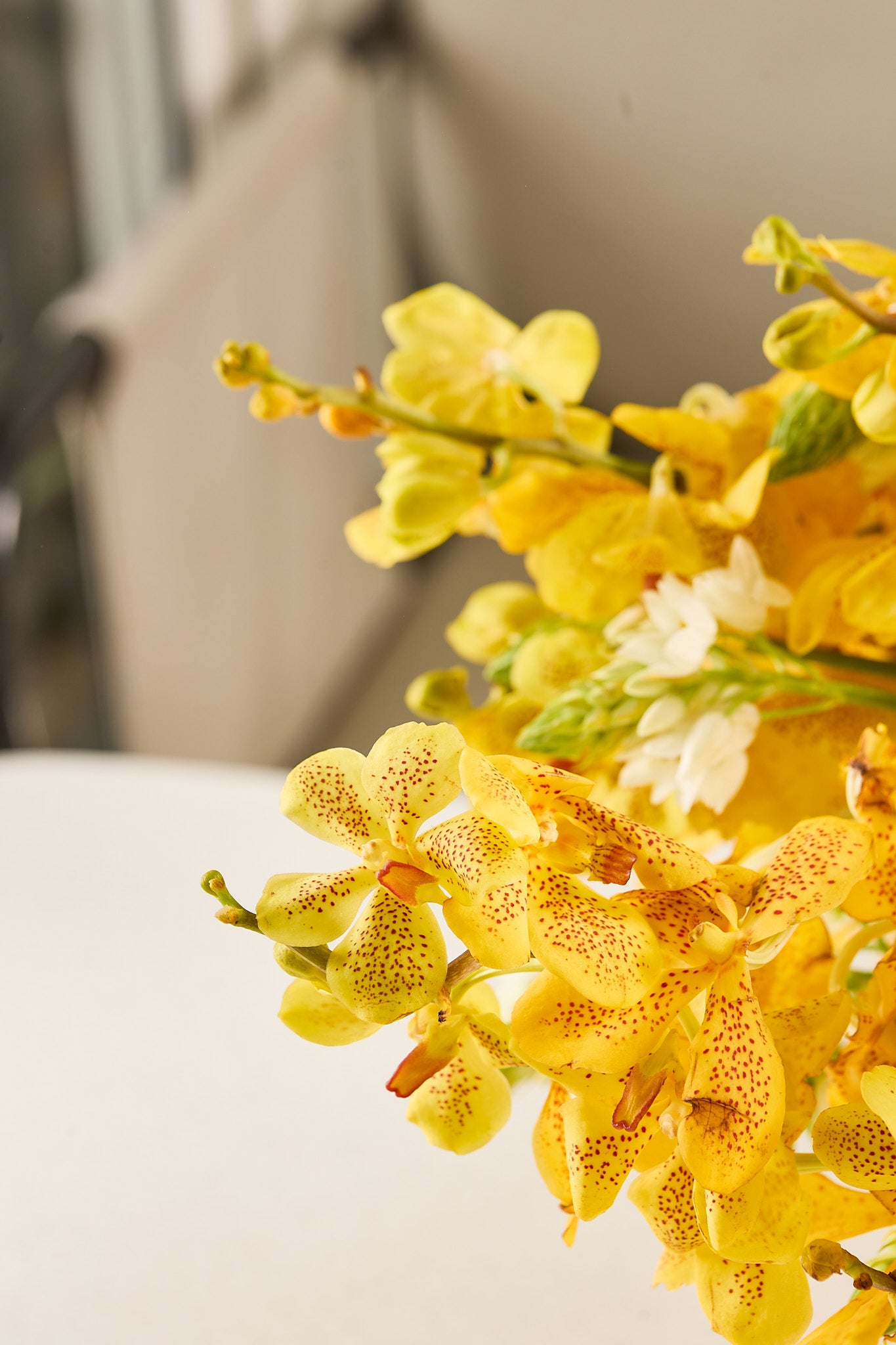 Orchid & tea cake gift hamper - Mahua Floral Studio